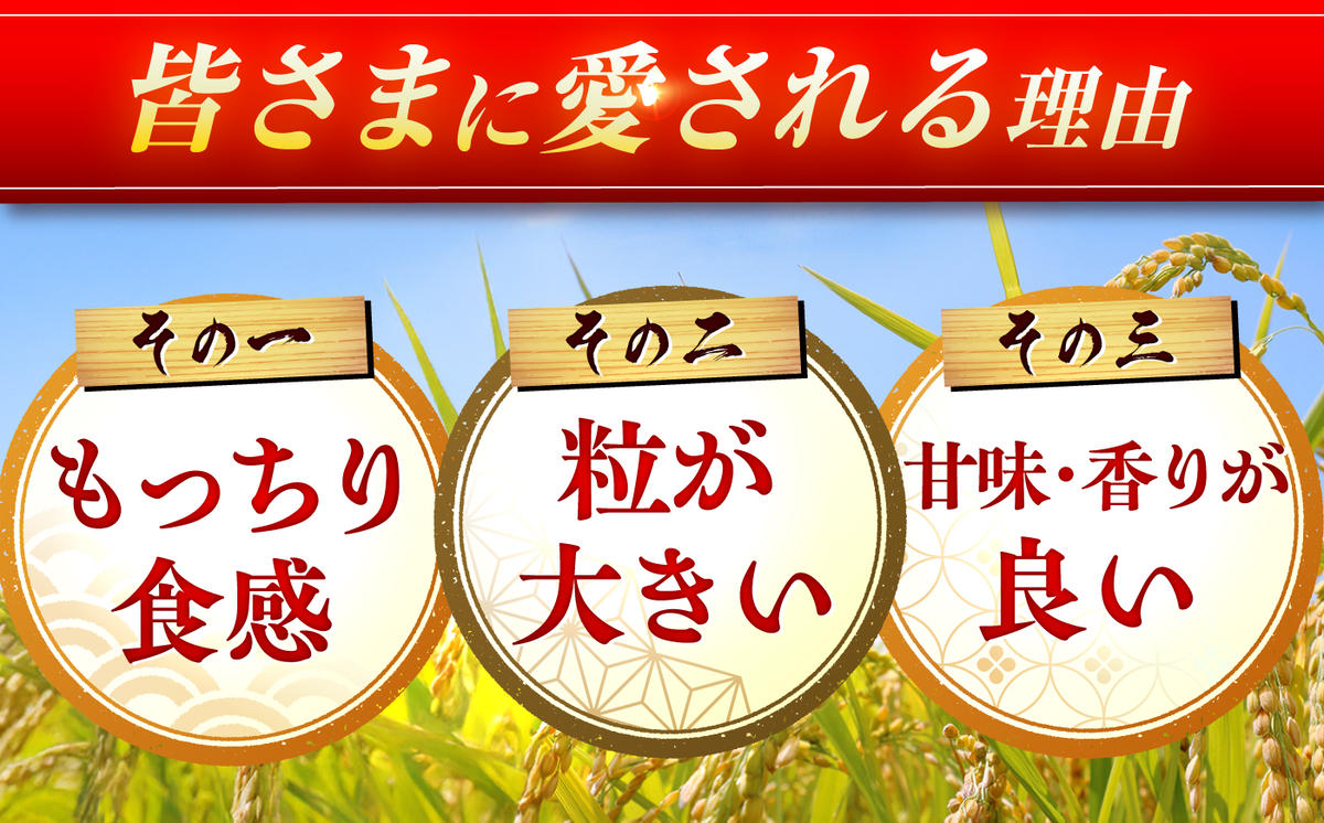 ＜米ランキング高評価日本一＞さがびより 5kg【令和7年産】　吉野ヶ里町/増田米穀 [FBM001]