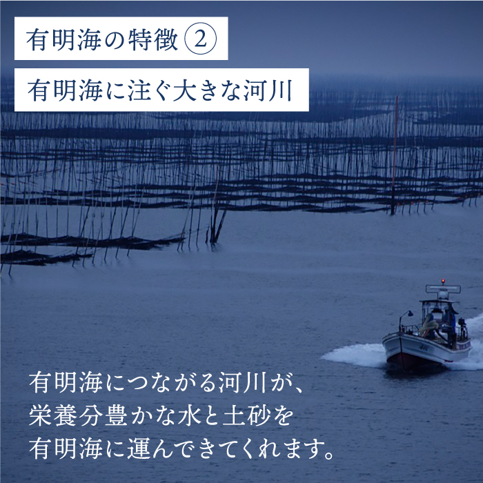 【至高の逸品】佐賀のり『紫香燦燦（しこうさんさん）』板海苔4枚×8袋 [FBC017]