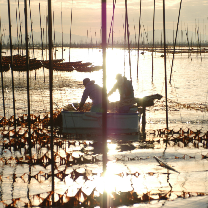 【至高の逸品】佐賀のり『紫香燦燦（しこうさんさん）』板海苔4枚×4袋 [FBC016]