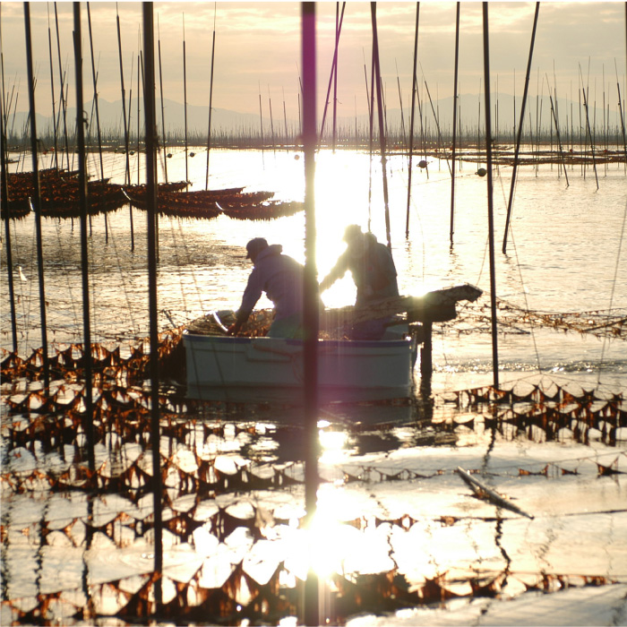 佐賀のりおかずのり4袋詰 8個入り [FBC001]