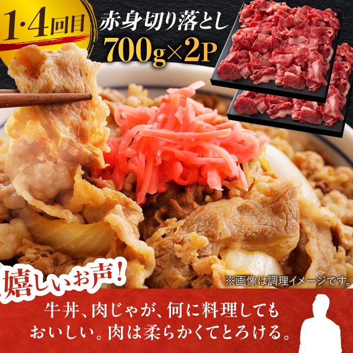 【全6回定期便】最高級の牛肉をヘルシーに堪能♪ A4 A5 佐賀牛 あっさり 赤身 定期便 6,000g 総計6kg 吉野ヶ里町/ミートフーズ華松 [FAY020]