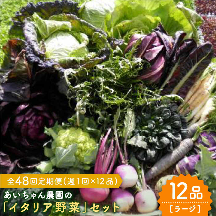 【12品×48回定期便】あいちゃん農園の「イタリア野菜」セット（ラージ） [FAA024]