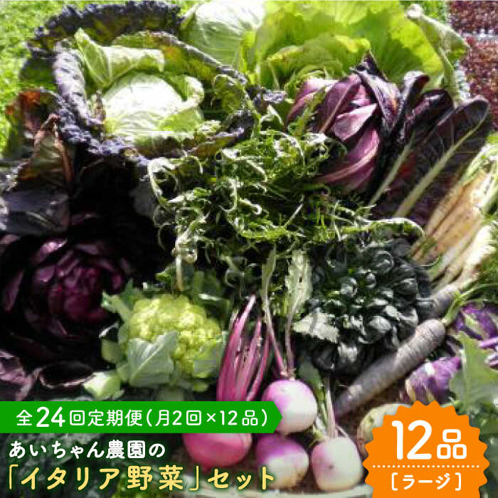 【12品×24回定期便】あいちゃん農園の「イタリア野菜」セット（ラージ） [FAA023]