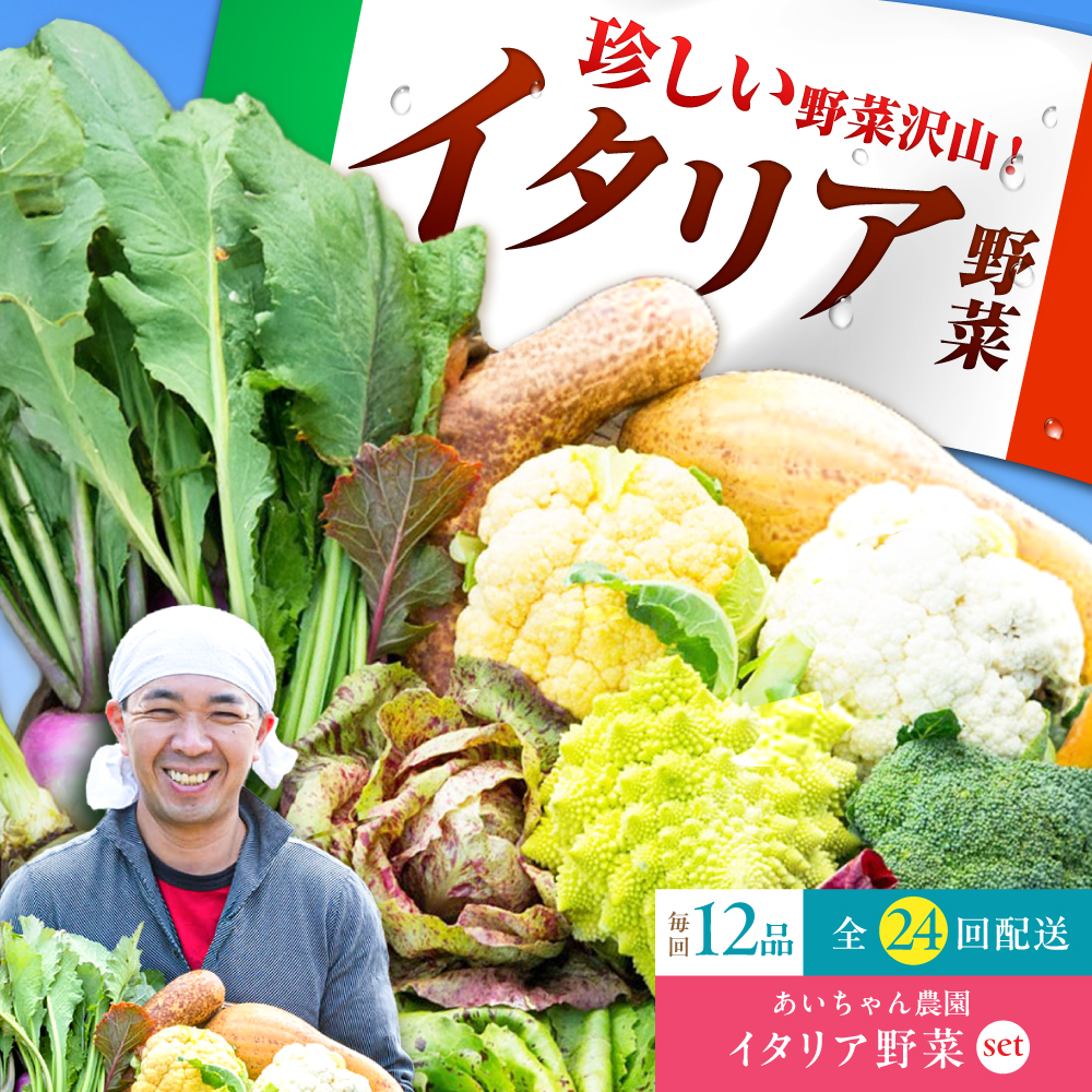 【12品×24回定期便】農薬に頼らない！カラダにやさしい「イタリア野菜」セット（ラージ）【吉野ヶ里あいちゃん農園】[FAA023]
