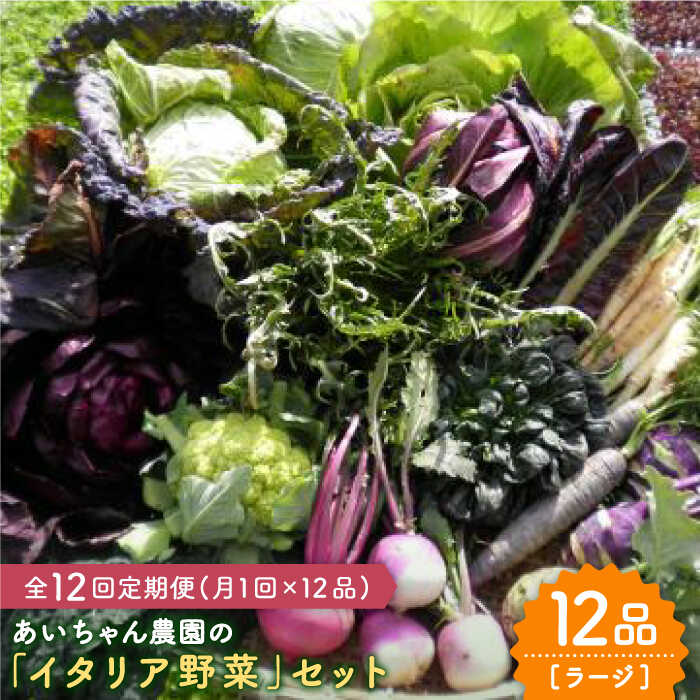 【12品×12回定期便】あいちゃん農園の「イタリア野菜」セット（ラージ） [FAA022]