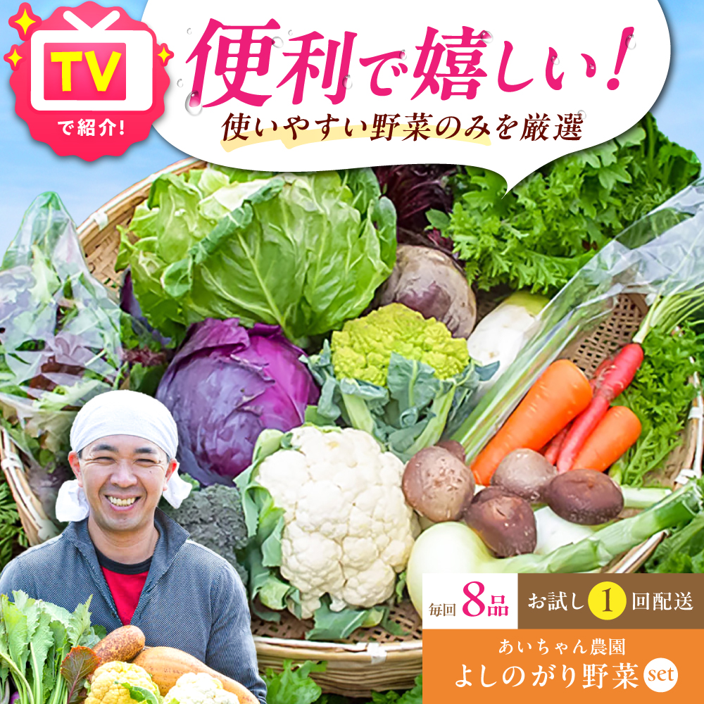 【8品】農薬に頼らない！カラダにやさしい「よしのがり野菜」セット（ショート）【吉野ヶ里あいちゃん農園】 [FAA001]