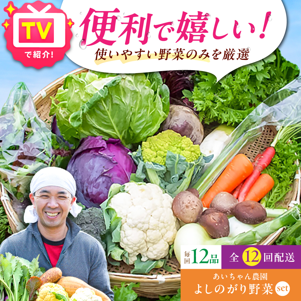 【12品 / 12回定期便】農薬に頼らない！カラダにやさしい「よしのがり野菜」セット（レギュラー）【吉野ヶ里あいちゃん農園】 [FAA006]