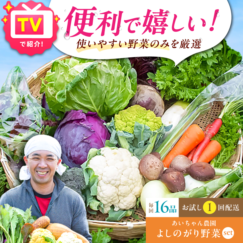 【16品】農薬に頼らない！カラダにやさしい「よしのがり野菜」セット（ラージ）吉野ヶ里町/吉野ヶ里あいちゃん農園 [FAA009]