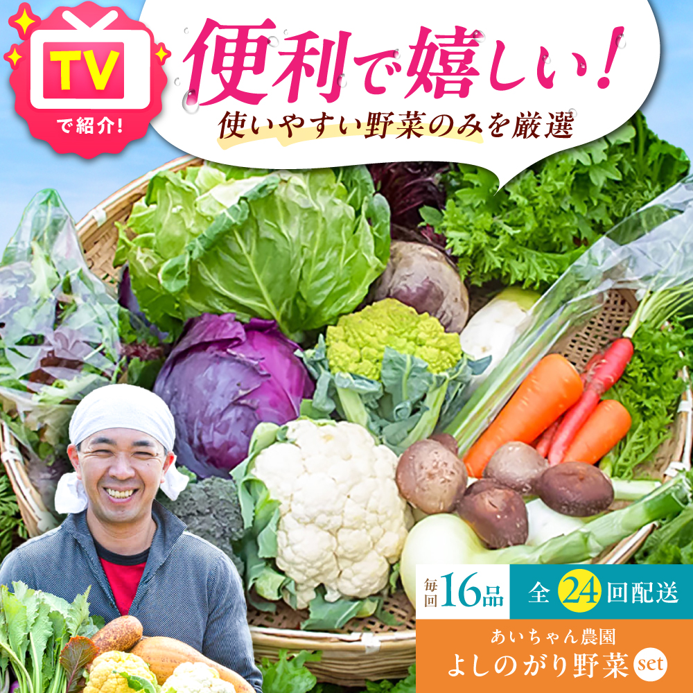 【16品 / 24回定期便】農薬に頼らない！カラダにやさしい「よしのがり野菜」セット（ラージ）【吉野ヶ里あいちゃん農園】 [FAA011]