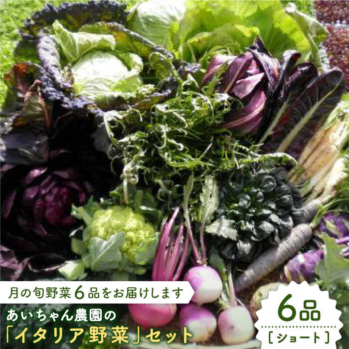 【6品】あいちゃん農園の「イタリア野菜」セット（ショート） [FAA013]