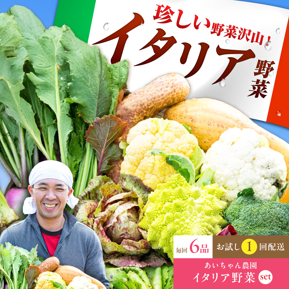 【6品】農薬に頼らない！カラダにやさしい「イタリア野菜」セット（ショート）【吉野ヶ里あいちゃん農園】[FAA013]