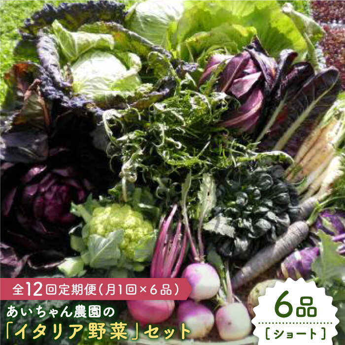 【6品 / 12回定期便】あいちゃん農園の「イタリア野菜」セット（ショート） [FAA014]
