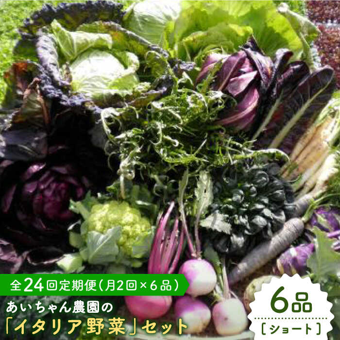 【6品 / 24回定期便】あいちゃん農園の「イタリア野菜」セット（ショート） [FAA015]