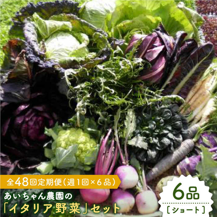 【6品 / 48回定期便】あいちゃん農園の「イタリア野菜」セット（ショート） [FAA016]