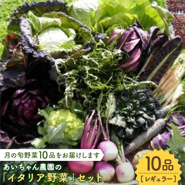【10品】あいちゃん農園の「イタリア野菜」セット（レギュラー） [FAA017]