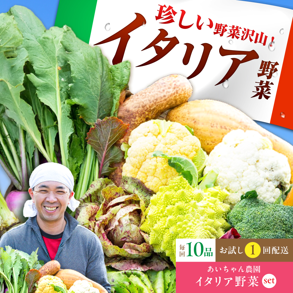 【10品】農薬に頼らない！カラダにやさしい「イタリア野菜」セット（レギュラー）【吉野ヶ里あいちゃん農園】[FAA017]