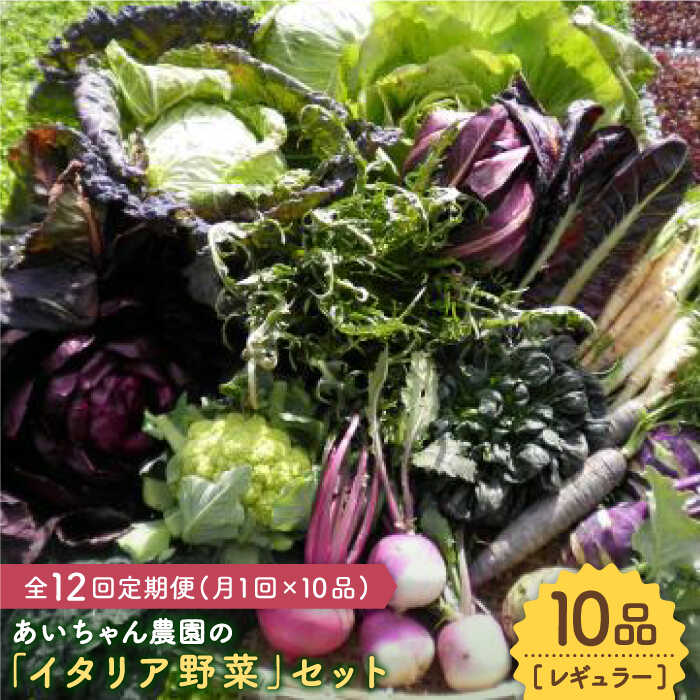【10品×12回定期便】あいちゃん農園の「イタリア野菜」セット（レギュラー） [FAA018]