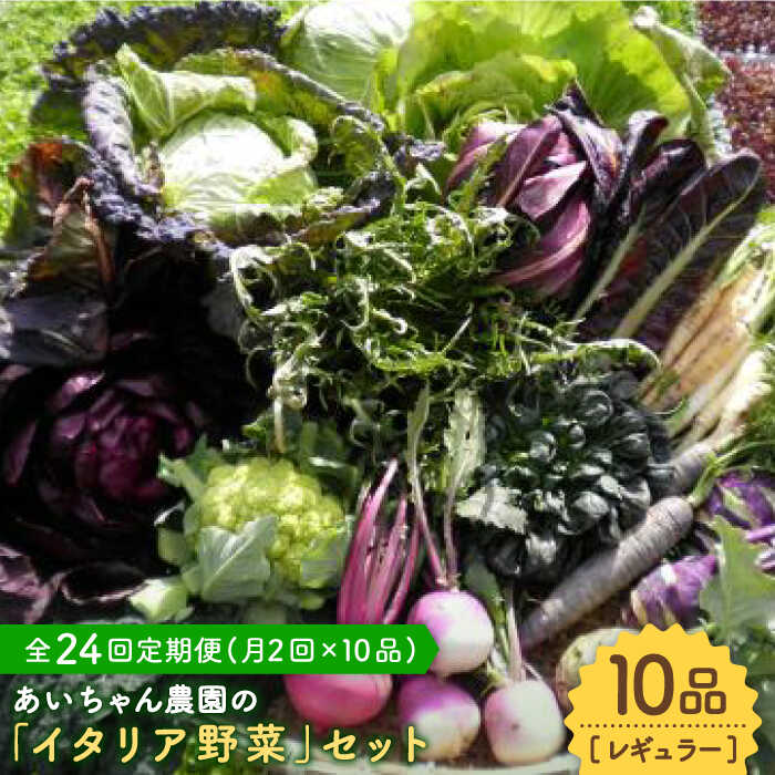 【10品×24回定期便】あいちゃん農園の「イタリア野菜」セット（レギュラー） [FAA019]