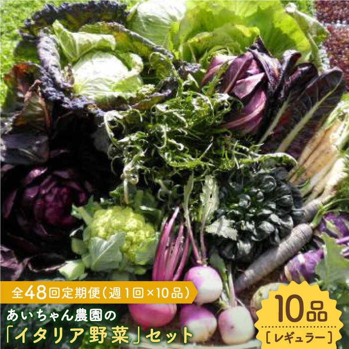【10品×48回定期便】あいちゃん農園の「イタリア野菜」セット（レギュラー） [FAA020]