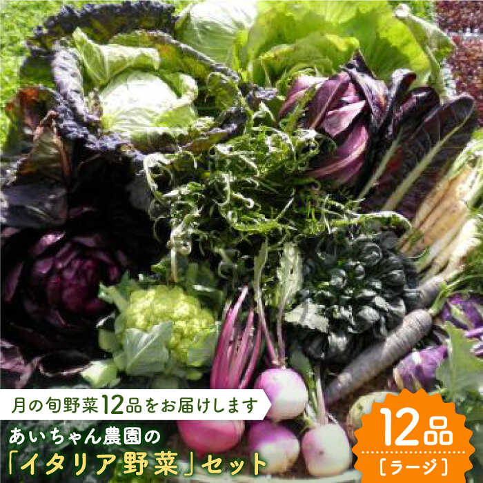 【12品】あいちゃん農園の「イタリア野菜」セット（ラージ） [FAA021]