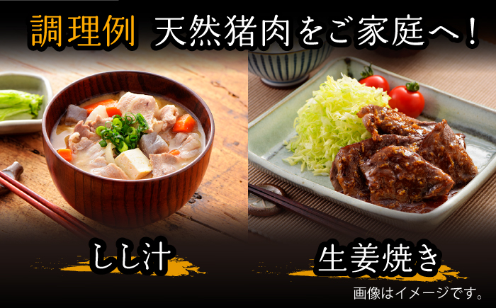 ≪脊振ジビエ≫イノシシ肉バラエティ6回定期便  総量4.8kg【ブイマート・幸ちゃん】 [FAL057]