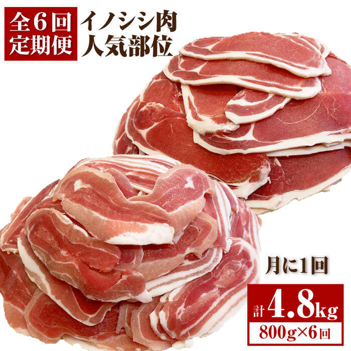 【6回定期便】≪脊振ジビエ≫イノシシ肉人気部位 総量4.8kg【ブイマート・幸ちゃん】 [FAL060]