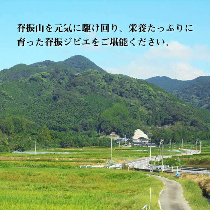 【3回定期便】≪脊振ジビエ≫3種のイノシシ肉セット 総量3.6kg【ブイマート・幸ちゃん】 [FAL061]