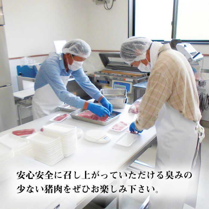 【3回定期便】≪脊振ジビエ≫3種のイノシシ肉セット 総量3.6kg【ブイマート・幸ちゃん】 [FAL061]