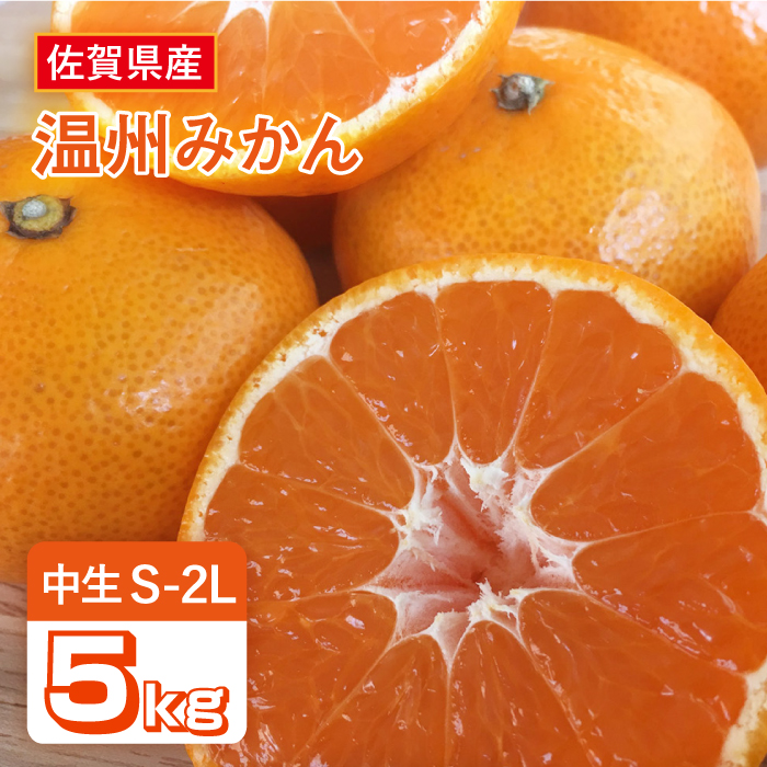 【10月上旬頃〜1月上旬発送】こたつで美味しいみかんを♪ 佐賀県産 中生みかん 5kg  みかん ミカン 蜜柑 フルーツ ふるーつ 果物 くだもの 吉野ヶ里町/リエンサーク [FCC010]