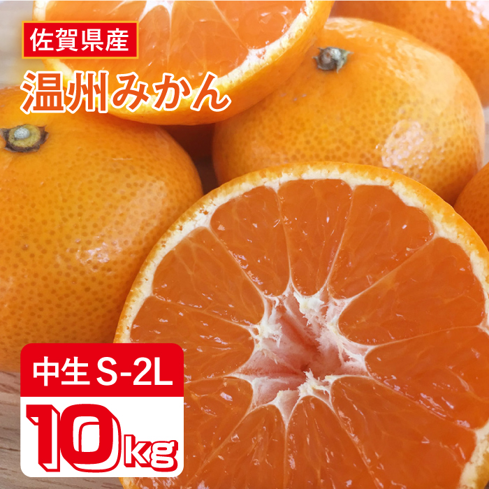 【10月上旬頃〜1月上旬発送】こたつで美味しいみかんを♪ 佐賀県産 中生みかん 10kg 吉野ヶ里町/リエンサーク [FCC009]