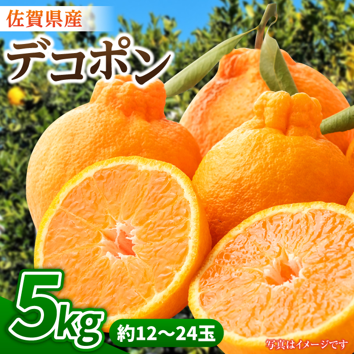 【1月中旬〜3月下旬発送】佐賀県産 みかん「デコポン」5kg 吉野ヶ里町/リエンサーク [FCC007]