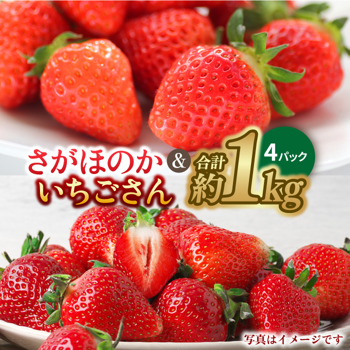 【1月中旬〜2月中旬発送】佐賀県自慢の2種！さがほのか＆いちごさん 平パック4P 約1kg いちご 果物 旬 イチゴ 苺 フルーツ 佐賀県産 佐賀産 佐賀 吉野ヶ里町/リエンサーク [FCC004]