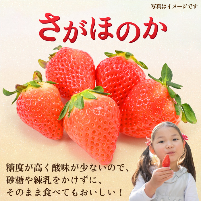【先行予約・27年1月以降順次発送】さがほのか＆いちごさん 平パック×4P （約1kg）|いちご 果物 旬 イチゴ 苺 フルーツ 佐賀県産 佐賀産 佐賀| 吉野ヶ里町/リエンサーク [FCC004]