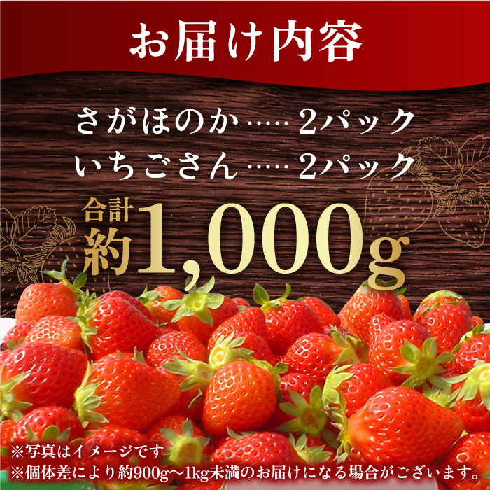 【先行予約・27年1月以降順次発送】さがほのか＆いちごさん 平パック×4P （約1kg）|いちご 果物 旬 イチゴ 苺 フルーツ 佐賀県産 佐賀産 佐賀| 吉野ヶ里町/リエンサーク [FCC004]