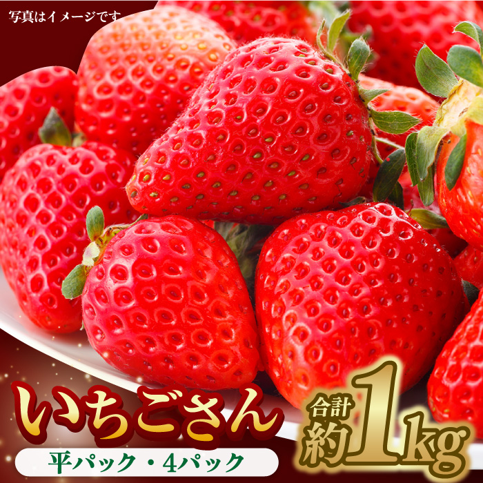 【1月中旬〜2月中旬発送】やさしい味わい！いちごさん 平パック×4P 約1kg いちご イチゴ 佐賀県産 佐賀県 佐賀 パック 吉野ヶ里町/リエンサーク [FCC003]