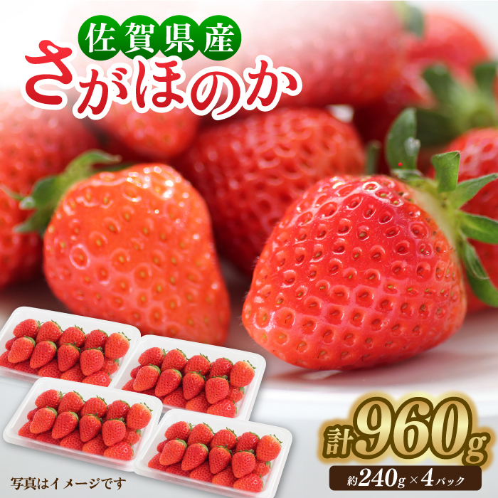 【1月中旬〜3月中旬発送】みずみずしい果肉！さがほのかレギュラーパック4P 240g×4 いちご イチゴ 苺 フルーツ 果物 佐賀 吉野ヶ里町/リエンサーク [FCC001]