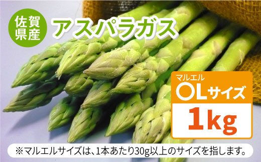 先行予約！受付は3/10まで！【26年3月中順次発送】アスパラガス 春芽 1kg（〇Lサイズ）吉野ケ里町/JAさが [FBE017]