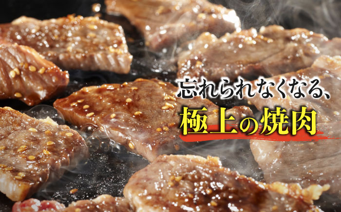 最高級和牛をたっぷり大容量♪ A4 A5 佐賀牛希少部位おまかせ9種堪能セット1800g（9種×200g）合計1.8kg【ミートフーズ華松】 [FAY042]