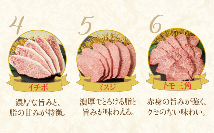 最高級和牛をたっぷり大容量♪ A4 A5 佐賀牛希少部位おまかせ9種堪能セット1800g（9種×200g）合計1.8kg【ミートフーズ華松】 [FAY042]