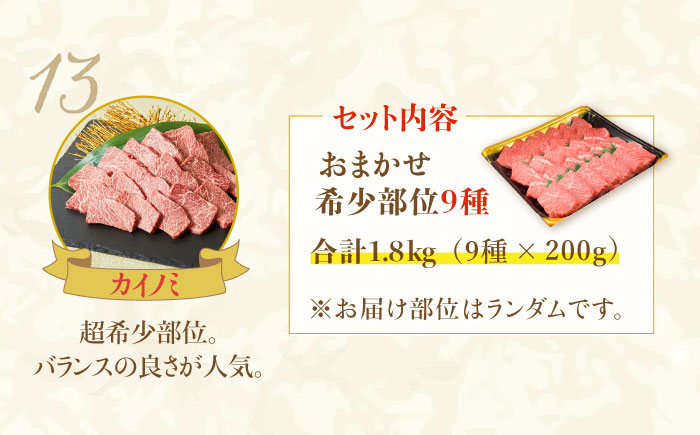 最高級和牛をたっぷり大容量♪ A4 A5 佐賀牛希少部位おまかせ9種堪能セット1800g（9種×200g）合計1.8kg【ミートフーズ華松】 [FAY042]