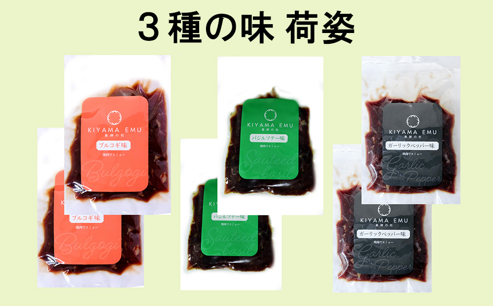 【10か月定期便】エミュー焼肉用3種の味セット【エミュー 基山産 高タンパク 高鉄分 低カロリー ヘルシー ジビエ 貴重肉 鉄分補給】JB2-J006303