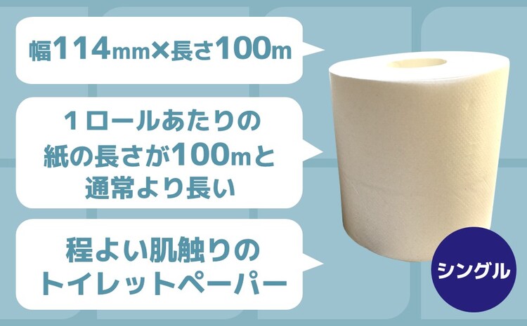 【2か月定期便】トイレットペーパー シングル 大容量 100巻 ファースト ハード【トイレットペーパー シングル エコ SDGs FIRST 日用品 消耗品 備蓄品 業務用 大容量 無包装 ロングタイプ 肌触り】D2-J083307