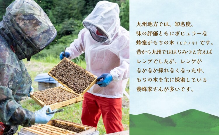 みよしの蜂蜜(もちの木)220g×1本【はちみつ もちの木 国産 ミツバチ 甘み スッキリ コク トロトロ】K063029