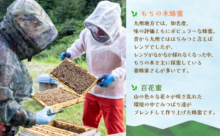 みよしのみつ(百花蜜・もちの木)220g×2本【はちみつ 百花蜜 もちの木 国産 ミツバチ 甘み スッキリ コク】K063027