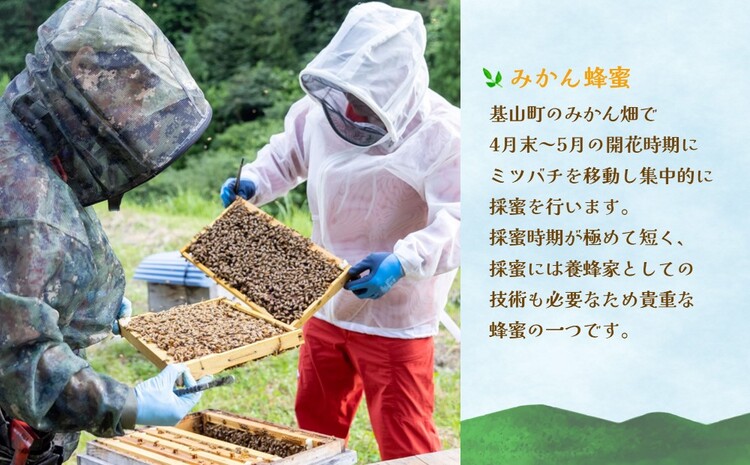 みよしのみつ(百花蜜・みかん・もちの木)220g×3本【はちみつ 百花蜜 みかん もちの木 国産 ミツバチ 甘み スッキリ フルーティー コク 詰合せ セット】K063028