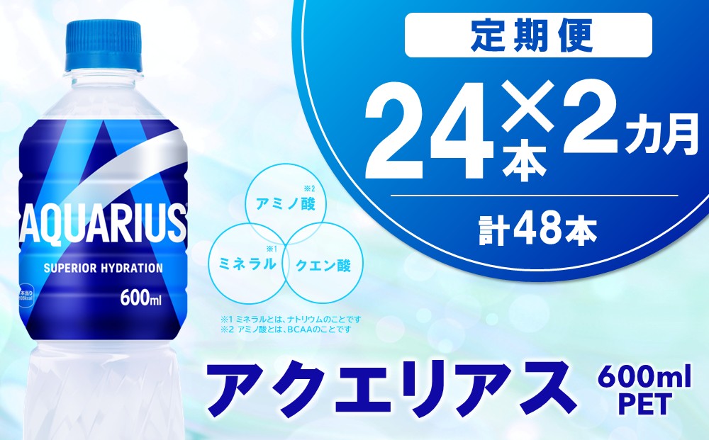 【2カ月定期便】アクエリアス 600mlPET×24本(1ケース)【コカコーラ 熱中症対策 スポーツ飲料 スポーツドリンク 水分補給 カロリーオフ ペットボトル 健康 スッキリ ミネラル アミノ酸 クエン酸 リフレッシュ 常備 保存 買い置き】K090457