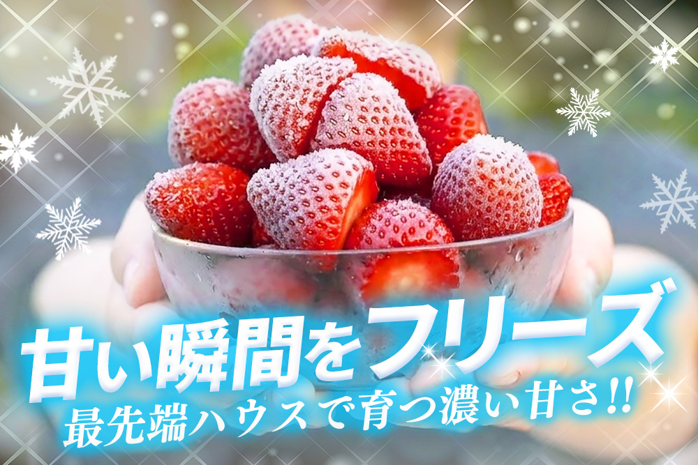 冷凍完熟いちご3kg(1kg×3袋)【完熟いちご 冷凍いちご イチゴ 苺 産地直送 農場直送 ヘタ無し げんき農場 よつぼし おいCベリー かおり野 紅ほっぺ 恋みのり 小分け】K100042