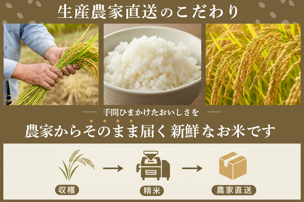 【連続特A受賞米】佐賀県基山町の米・令和7年産 さがびより(精米)10kg〈生産者直送〉【米 ブランド米 特A 冷めても美味い 10kg ふるさと納税 kome okome shinnmai shinmai】K094002