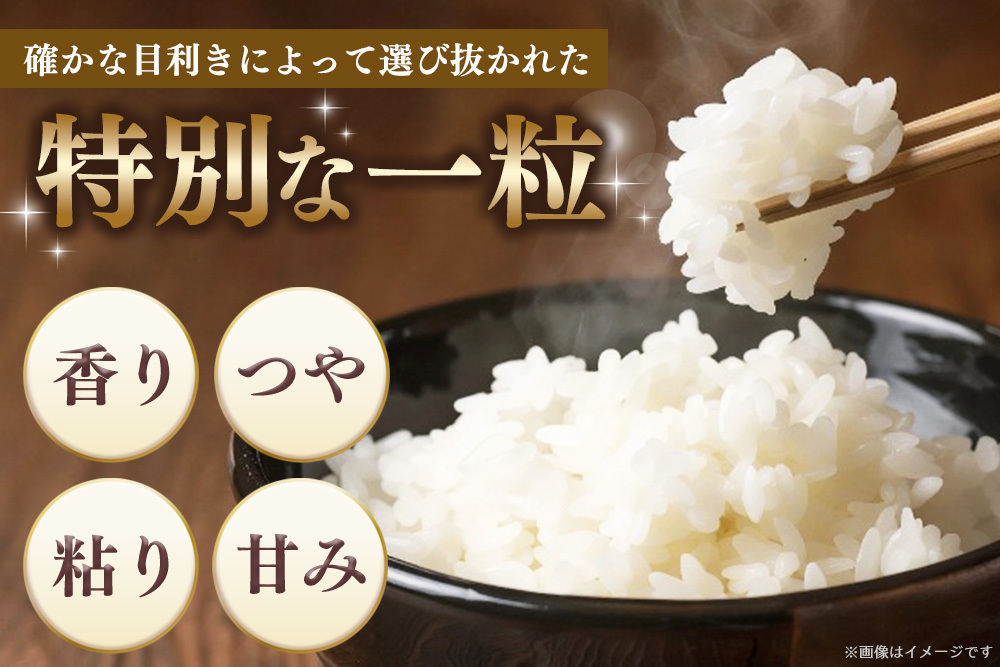 ã什å7å¹Žç£æ°ç±³ãäºãæãç±³ãã€ã¹ã¿ãŒå³éž 倢ããã çç±³ 10kg (5kgÃ2è¢)ããç±³ ç±³ çŸå³ããã飯 ããããã ãããããç±³ çç±³ å°å
ç£ æ°é®® è³é ãã ãã äœè³ç kome okome shinnmai shinmaiãK103028