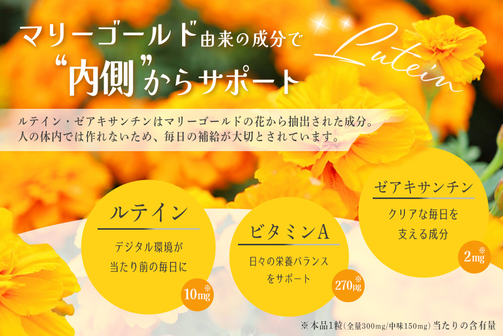 ルテインリッチ 30粒(ソフトカプセル)×3箱【ルテイン ゼアキサンチン スマホ 長時間 使用】K105003